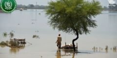 فيضانات باكستان  تأثر ملايين الأرواح بأمطار تاريخية