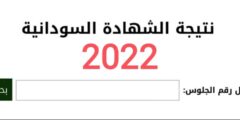 النتائج رابط لاستخراج نتائج الشهادة السودانية 2022 عبر موقع وزارة التربية والتعليم السودانية برقم المقعد