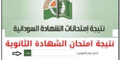 رابط moe.gov.sd للحصول على نتائج الجولة الأولى لشهادة السودان 2022 من موقع وزارة التربية والتعليم السودانية برقم المقعد