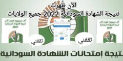 نتائج شهادة السودان 2022 متاحة الآن بمقاعد في جميع الولايات من moe.gov.sd