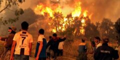 تعرب المملكة العربية السعودية عن حزنها العميق لضحايا حرائق الغابات في الجزائر